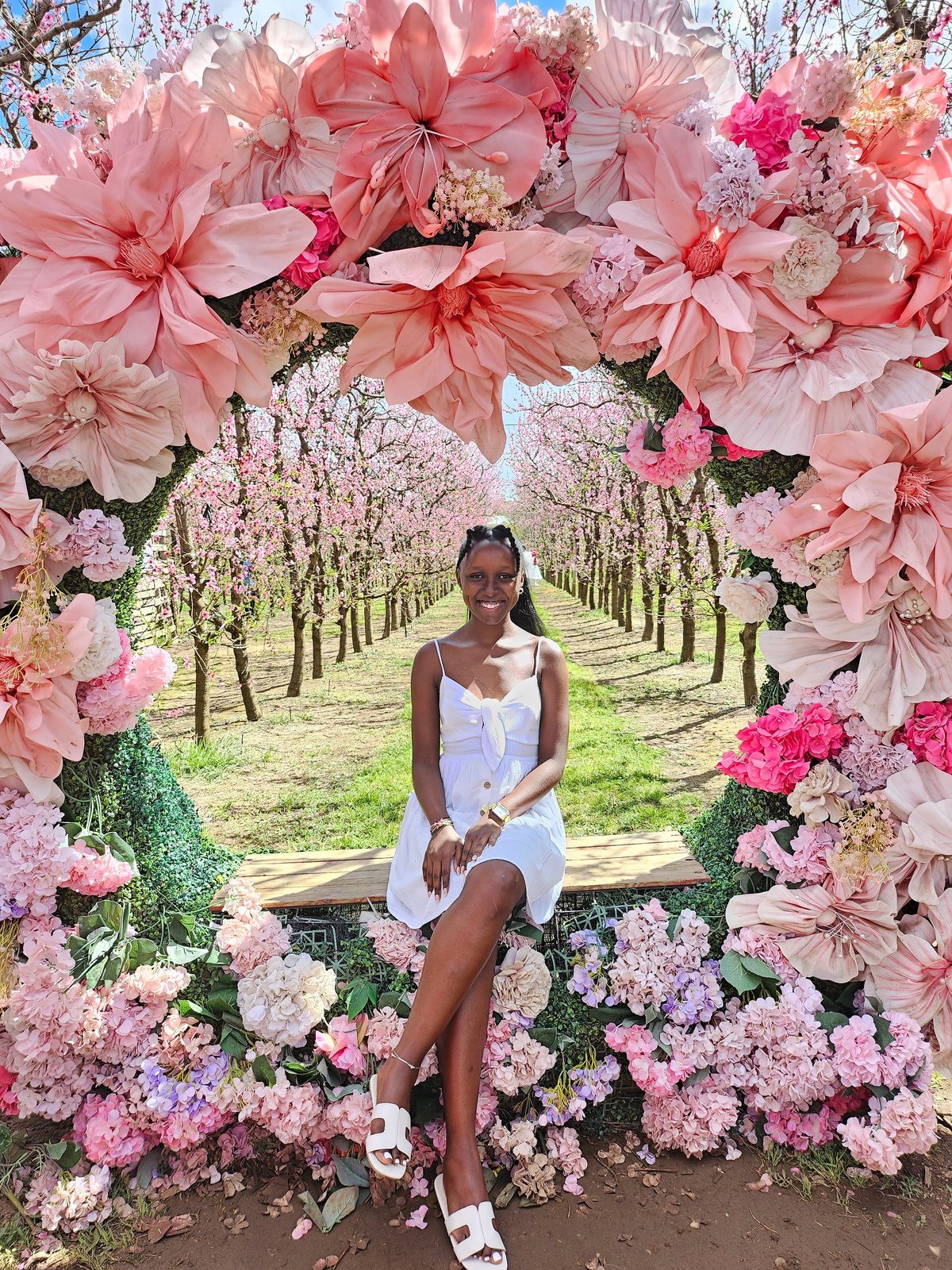 Bee sitting beneath pink blossoms