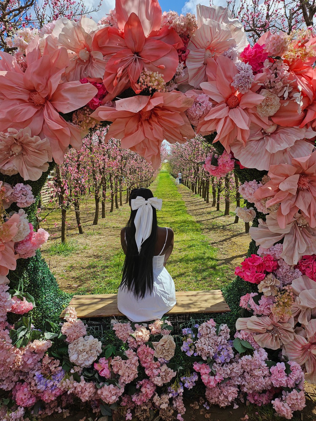 Bee under a canopy of pink flowers